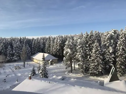Отель Лесная Сказка — фото 1