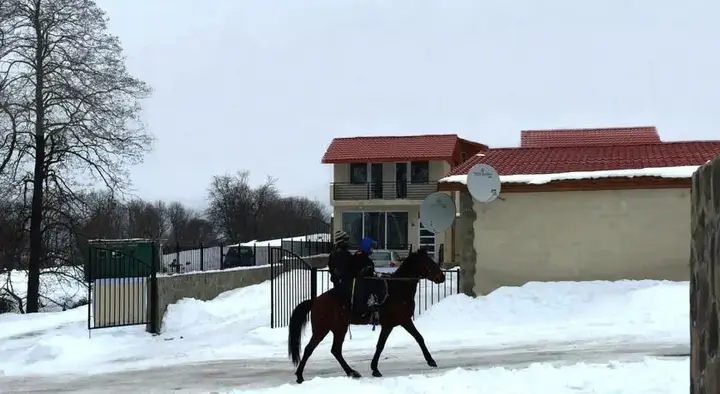 Бакуриани: Iberia Bakuriani Houses