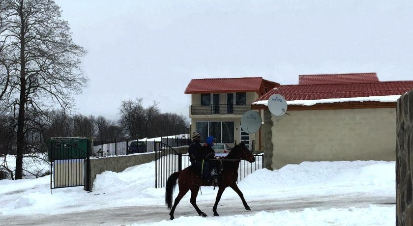 Бакуриани: Iberia Bakuriani Houses