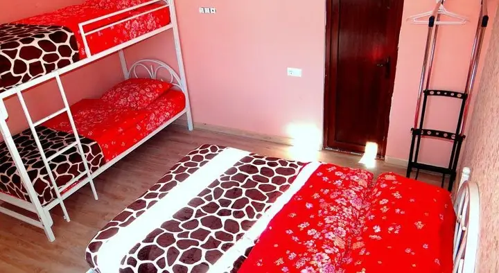Бакуриани: Green House Bakuriani