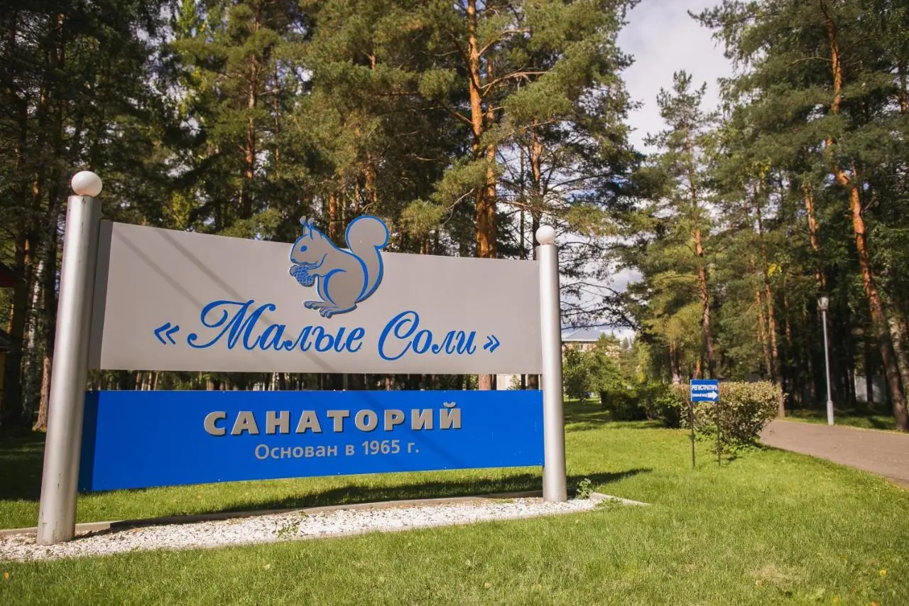 Некрасовское: Санаторий Малые Соли