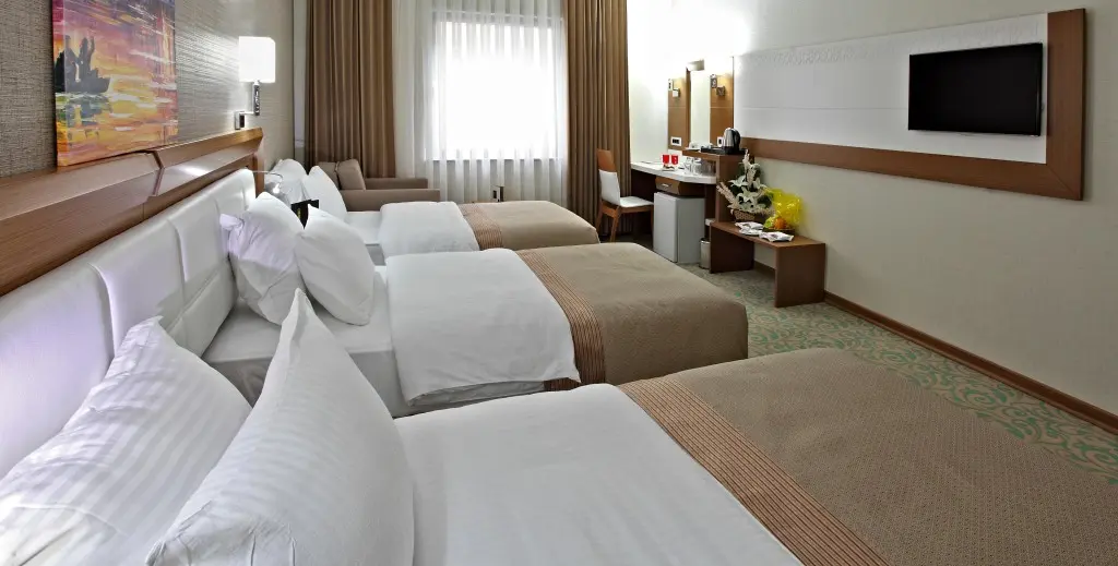 Конья: Selcuk Hotel Sems-i Tebrizi