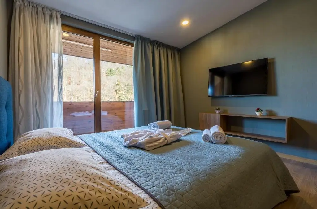 Бакуриани: Valley hotel room 504