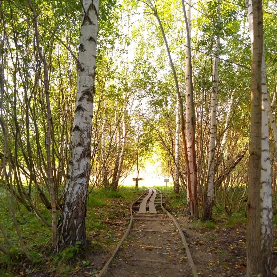 Переславль-Залесский: Guest House Gallery
