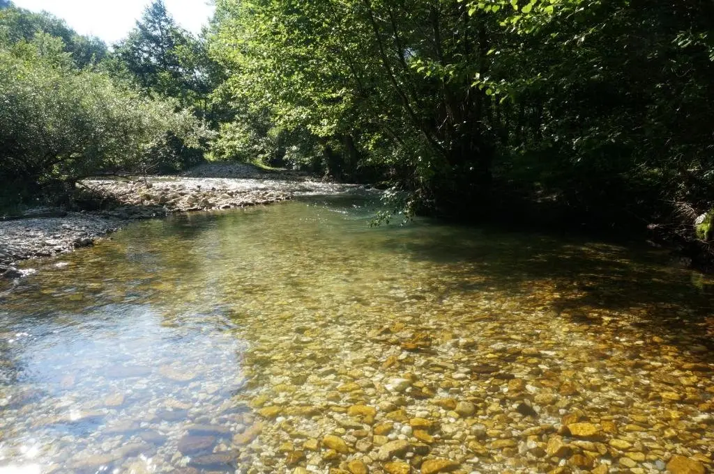 Амбролаури: Glamping Georgia Krikhi