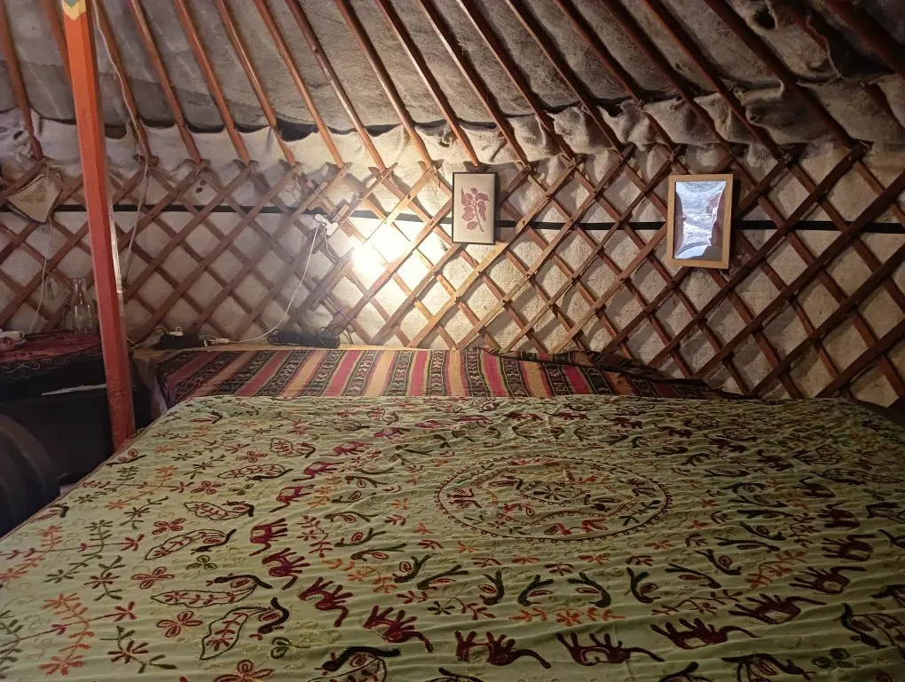 Быково: Глэмпинг Юрта