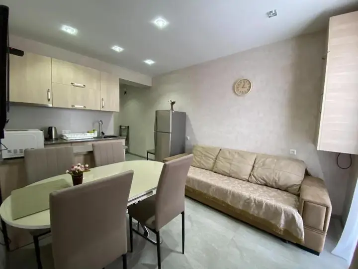 Бакуриани: Didveli Residence E43
