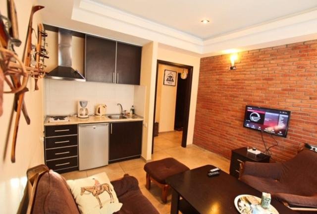 Гудаури: Gudauri Apartment 2005