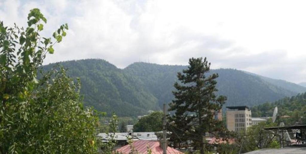 Боржоми: Luxury studio at Pirosmani 22 in central Borjomi