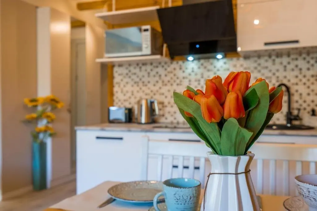 Гудаури: New Gudauri Atrium 336
