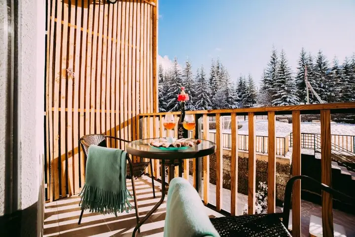 Бакуриани: Bakuriani Plaza A 208