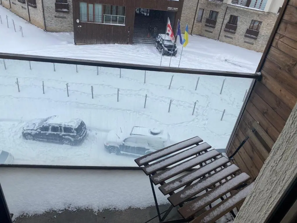 Гудаури: Cozy Apartment in New Gudauri, Loft 1