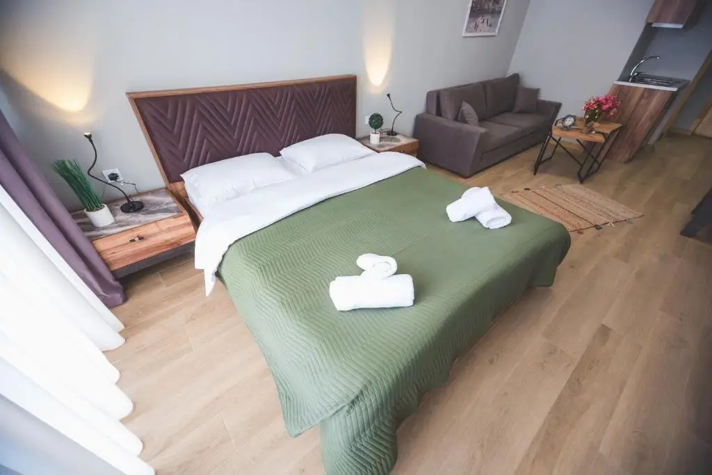 Бакуриани: Cosy Studio B-309 in the Hotel Didveli Gallery