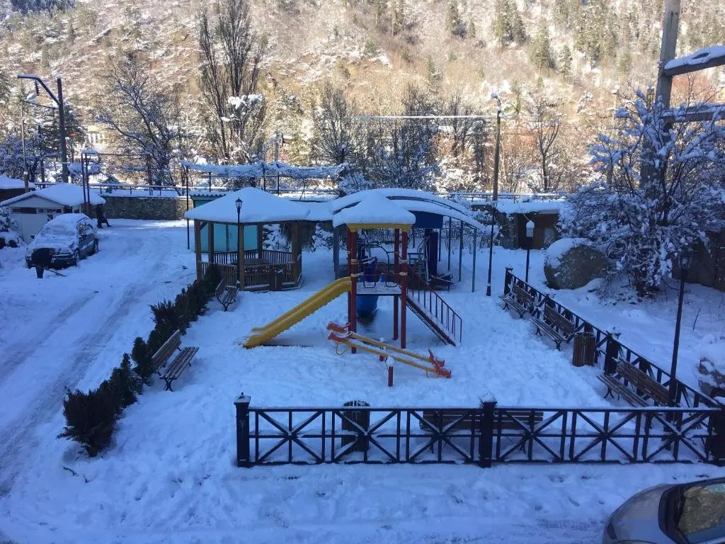 Боржоми: Cottage at 29 Erekle Street