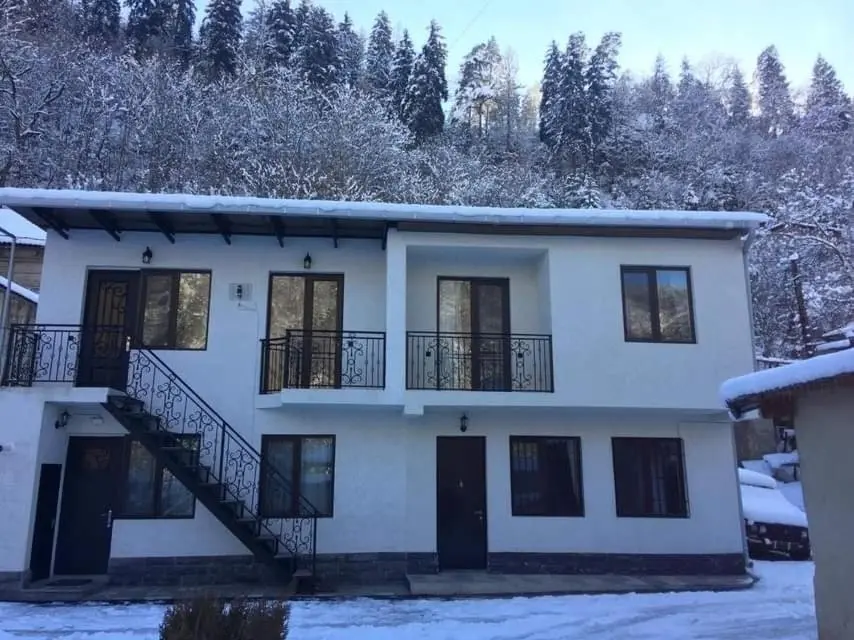 Боржоми: Cottage at 29 Erekle Street