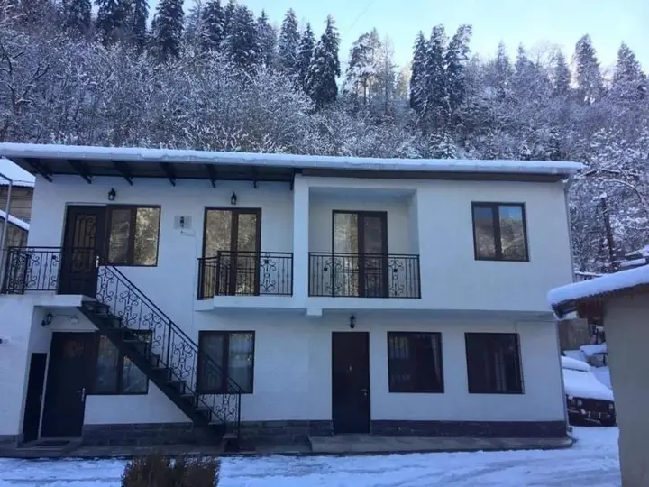 Боржоми: Cottage at 29 Erekle Street