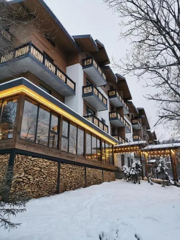 Бакуриани: Didveli Residence D42