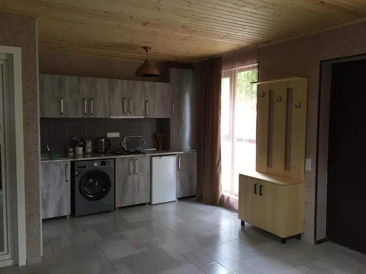 Боржоми: Levani's Cottage 2