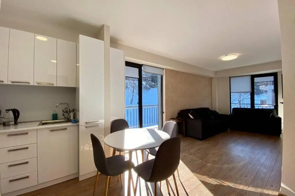 Бакуриани: Bakuriani area park apartment N 406 for rent