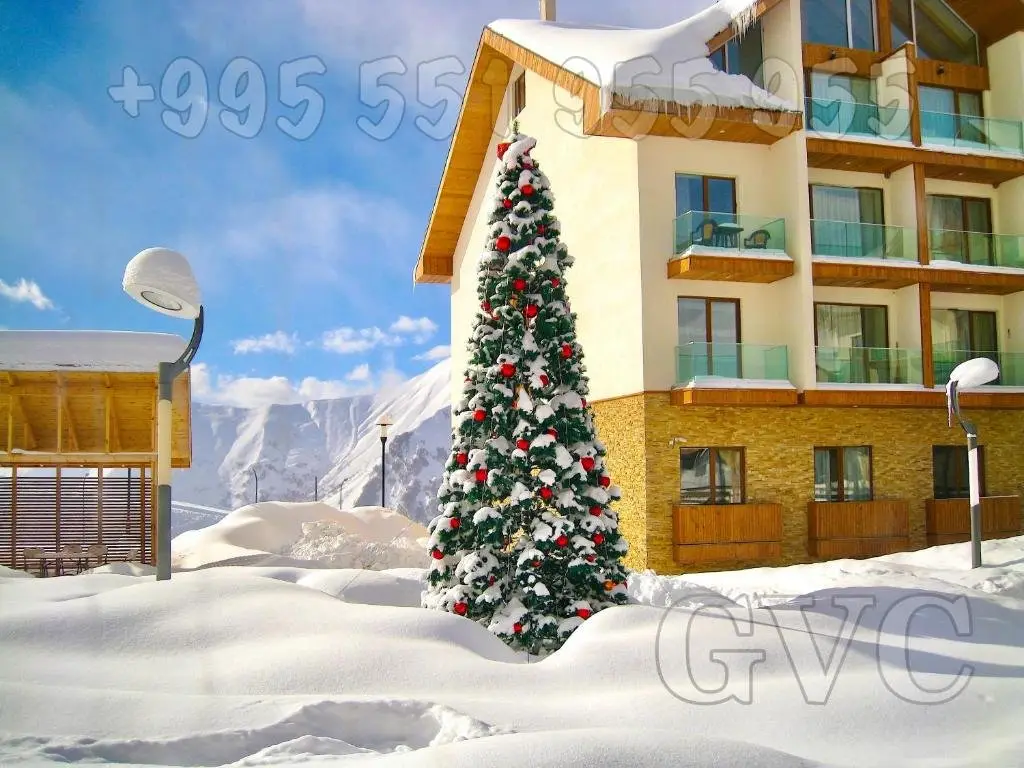 Гудаури: GVC 321-2 New Gudauri