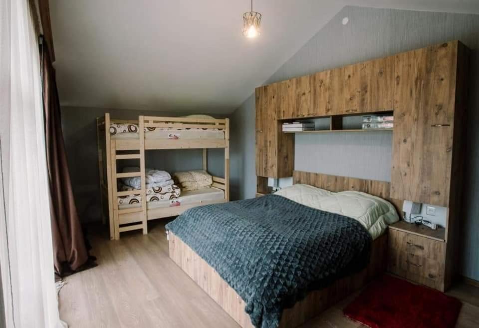 Бакуриани: Bakuriani cottage 2020