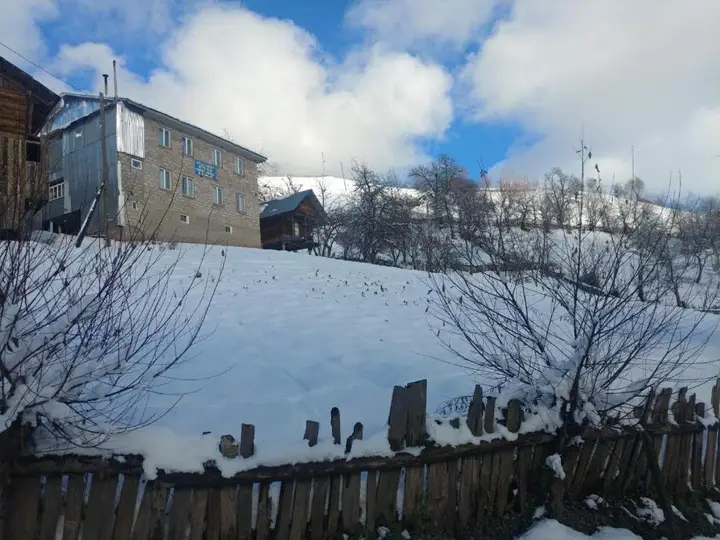 Даниспараули: Guest House Luka