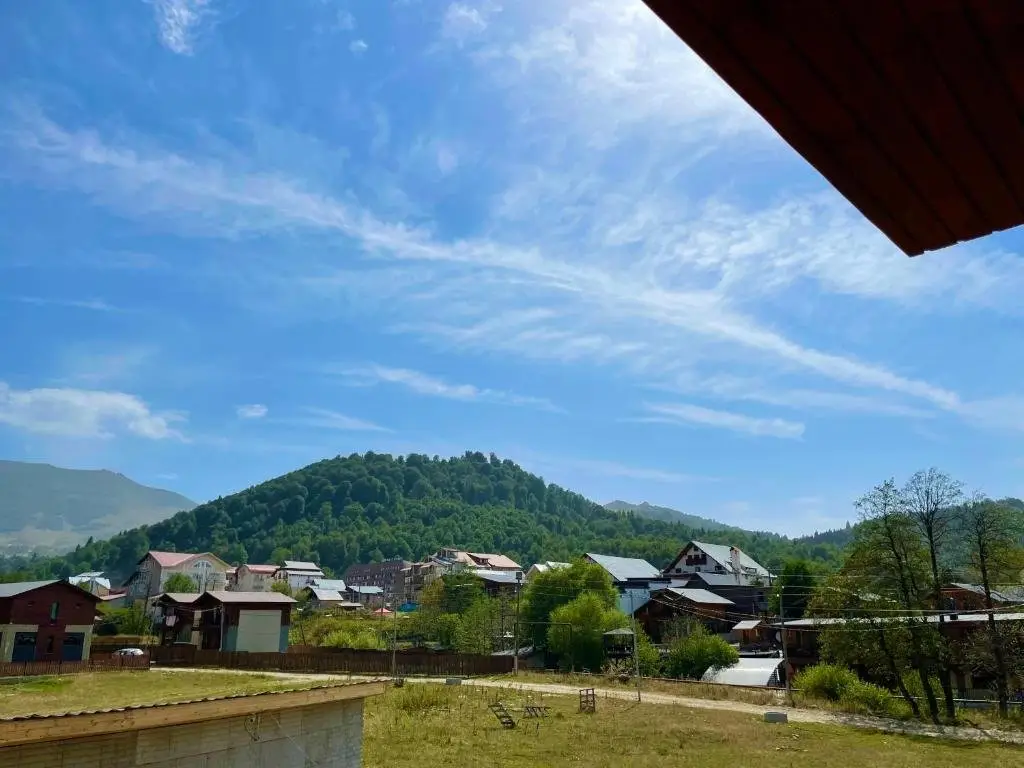 Бакуриани: Stay Active Cottage Bakuriani