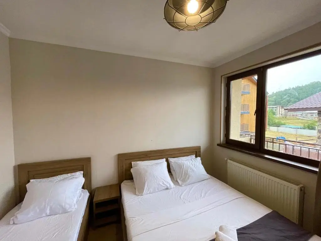 Бакуриани: Stay Active Cottage Bakuriani