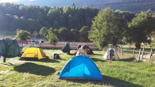 Местиа: shako mushkudiani guest house