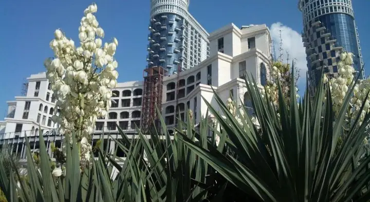 Батуми: My Lovely Batumi appartments Khimshiashvili 15A