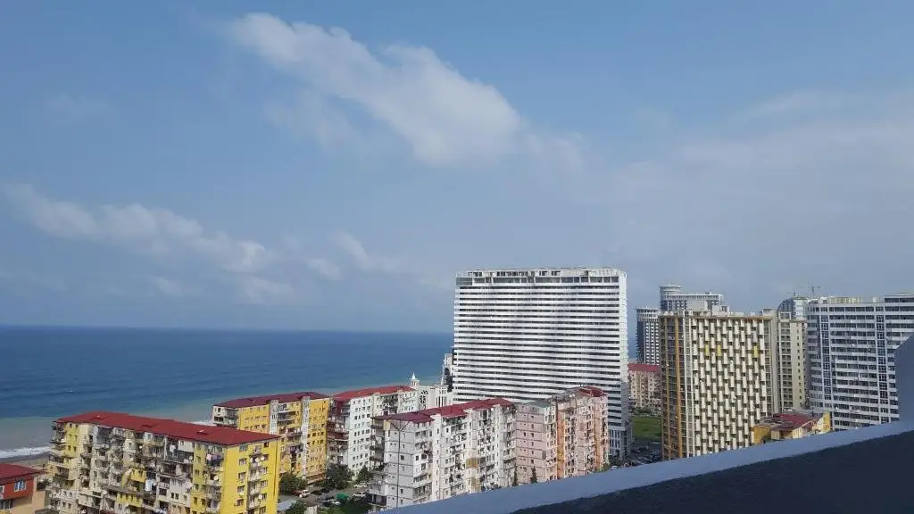 Батуми: Penthouse On Inasaridze 4