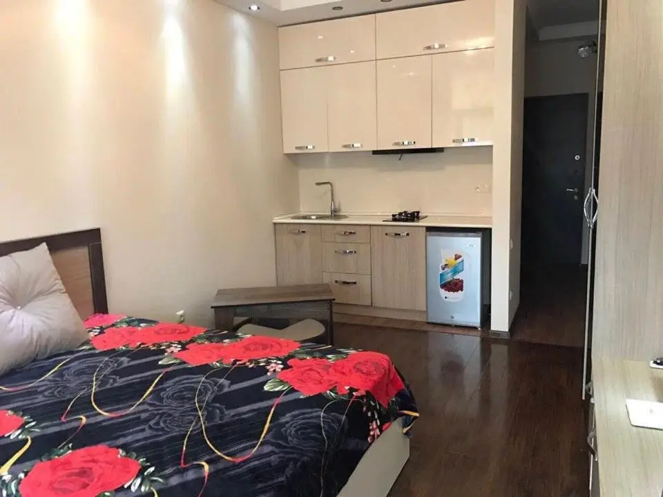Батуми: Studio On Rustaveli Avenue 22