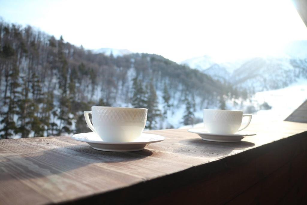 Бакуриани: Residence Studio Bakuriani The Valley Resort