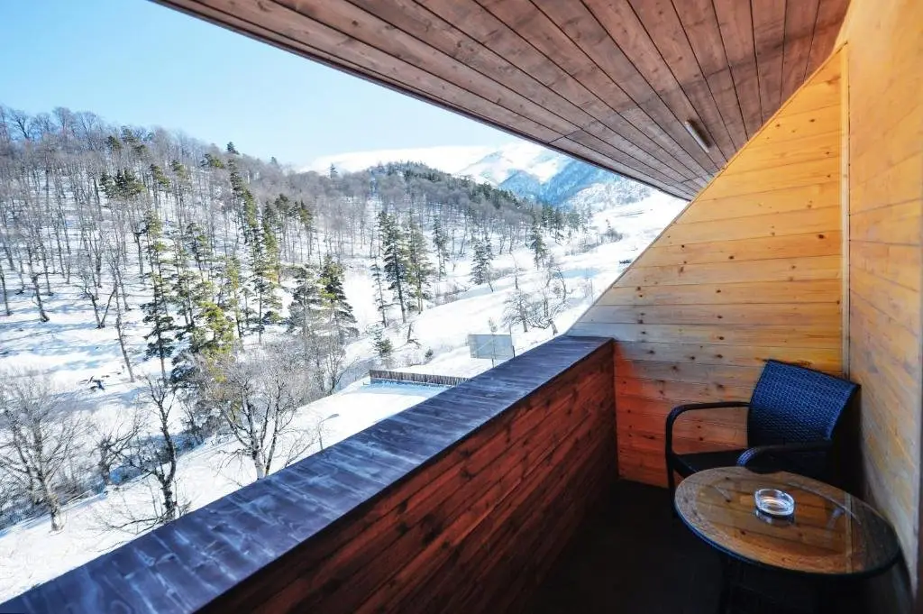 Бакуриани: Residence Studio Bakuriani The Valley Resort