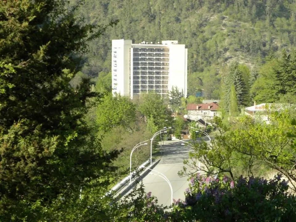 Боржоми: Rustaveli 107 Borjomi Georgia
