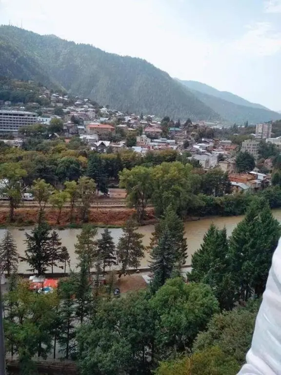 Боржоми: Rustaveli 107 Borjomi Georgia