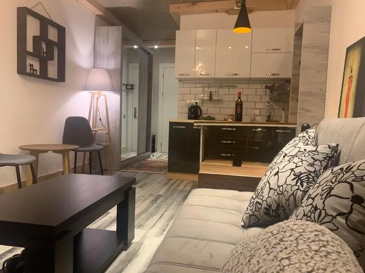Гудаури: Studio 408 New Gudauri Loft1