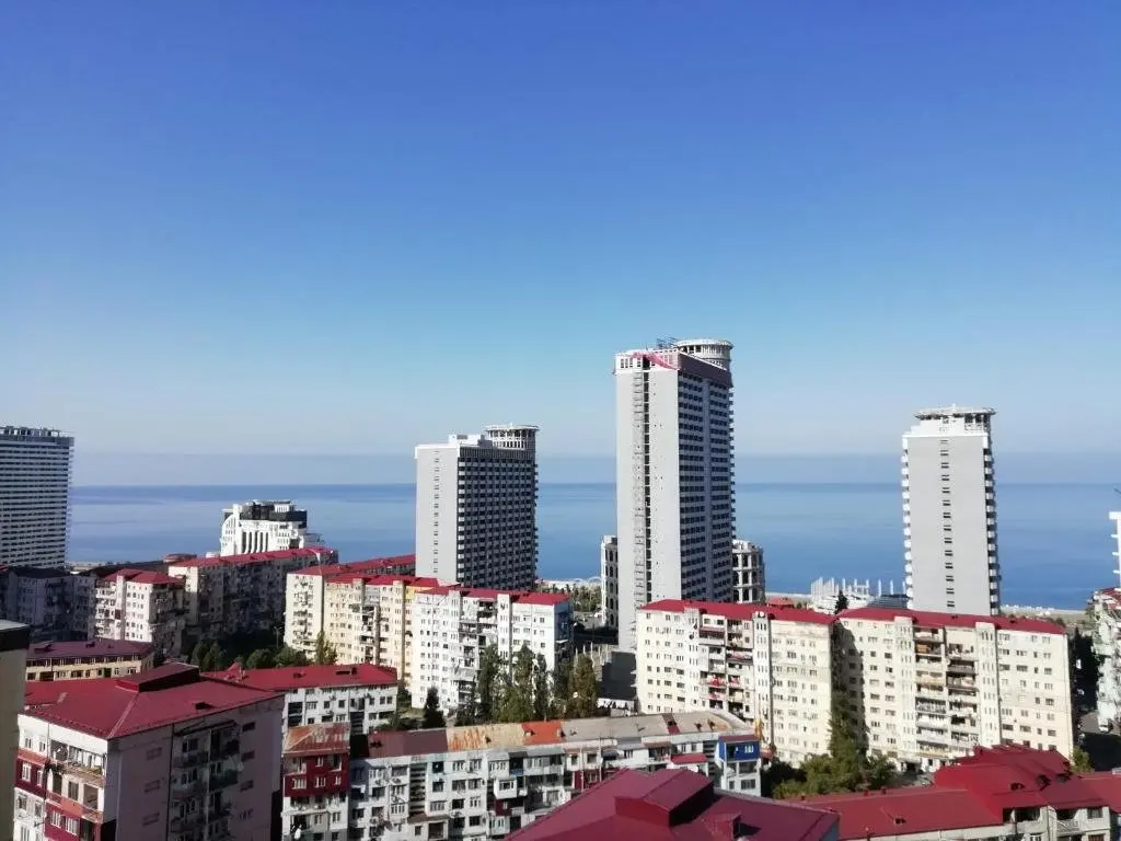 Батуми: Pirosmani Street 16 322