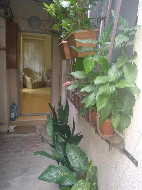 Тбилиси: Tbilisi D. Agmashenebeli Avenue 35 Apartment