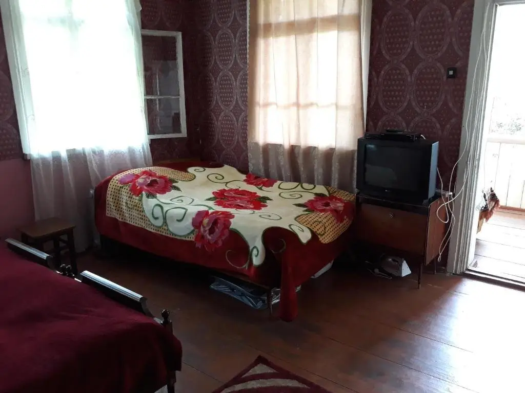 Боржоми: Saakadze 46
