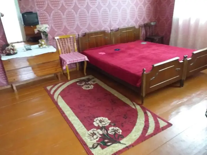Боржоми: Saakadze 46