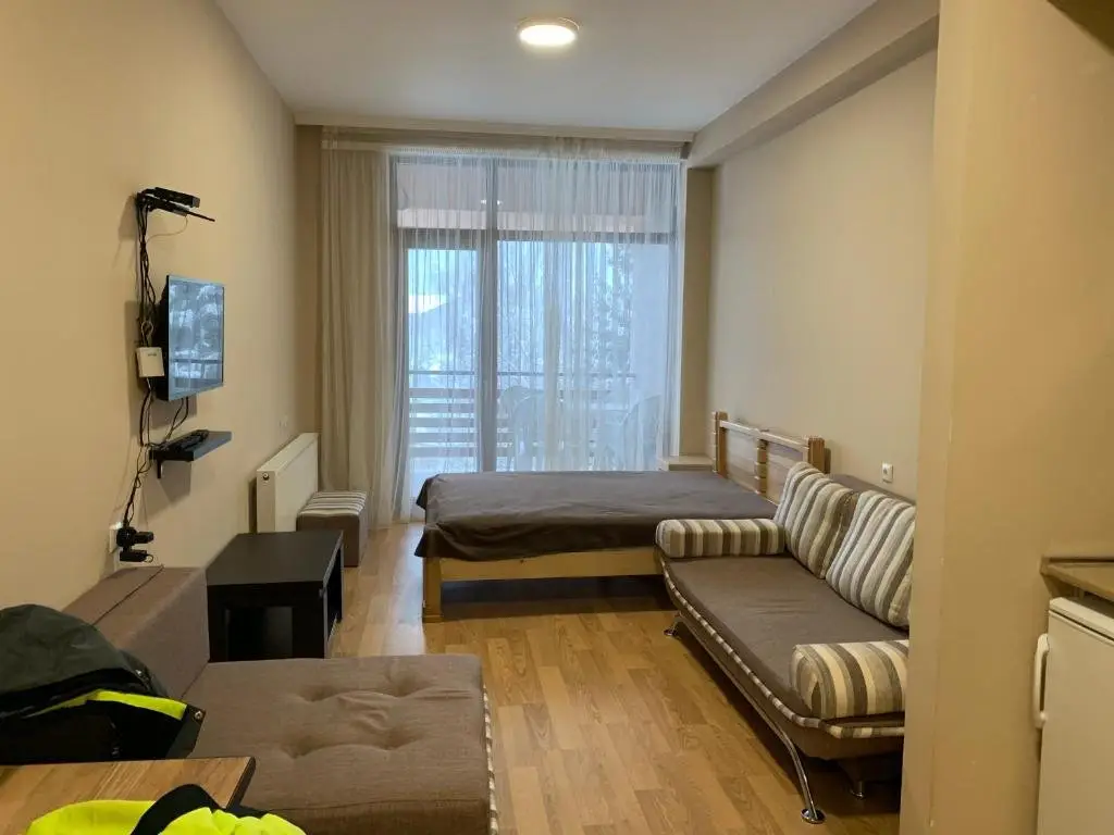 Бакуриани: Studio in Bakuriani City