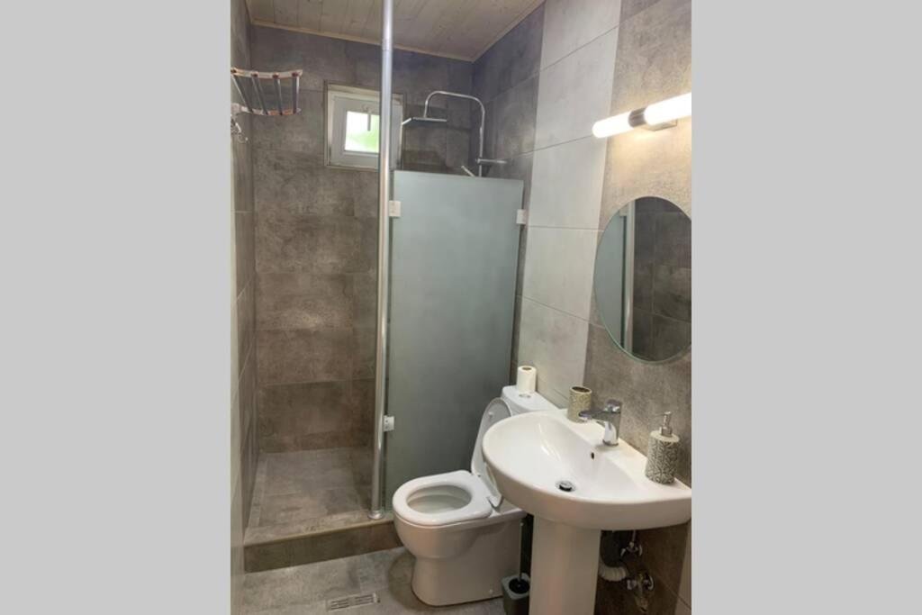 Тбилиси: Private House,In 10 Min. To Fabrika, Agmashenebeli Ave. And Railway Station
