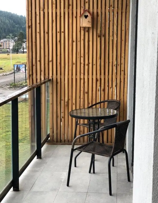 Бакуриани: Studio Apartment In Bakuriani
