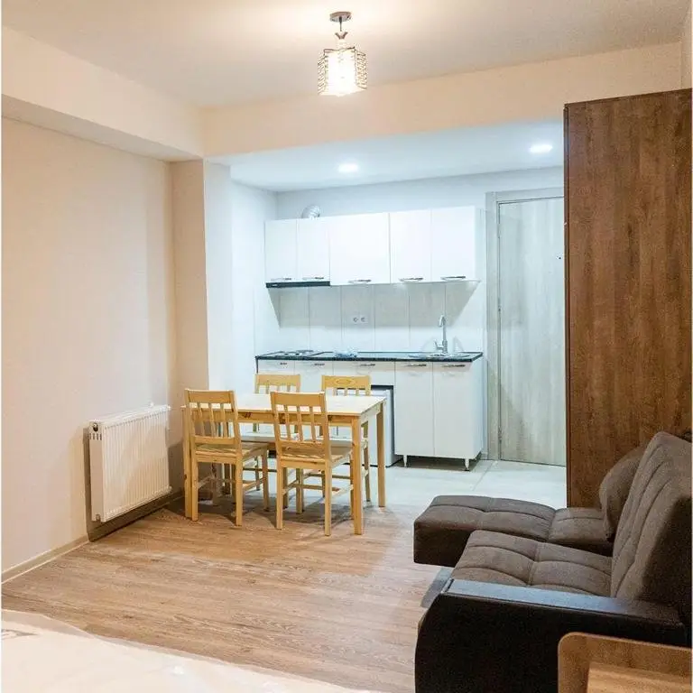Бакуриани: Studio Apartment In Bakuriani