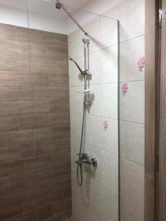 Бакуриани: Studio Apartment In Bakuriani