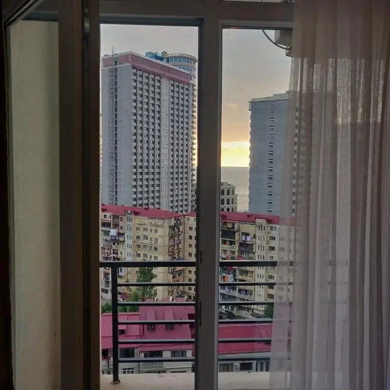 Батуми: Seaview Apartment Pirosmani18
