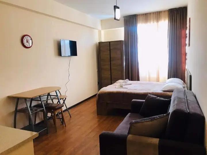 Бакуриани: Studio Apartment