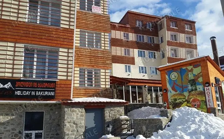 Бакуриани: Studio Apartment