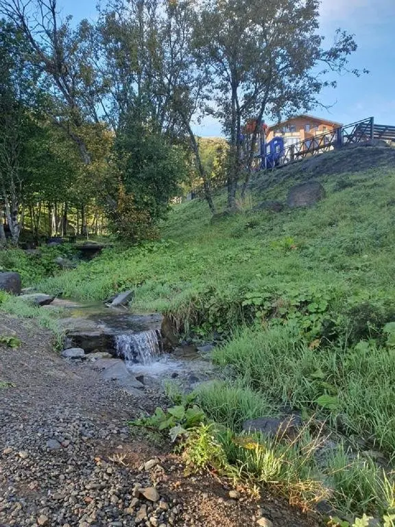 Бакуриани: Renting Apartment In Didveli Residence